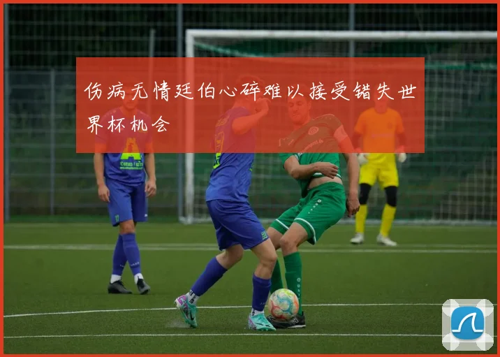 伤病无情廷伯心碎难以接受错失世界杯机会